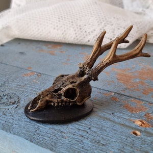 Deer Skull with backround - Deer Skull Miniature Skull Aged Paint Gothic Goth Spooky Halloween