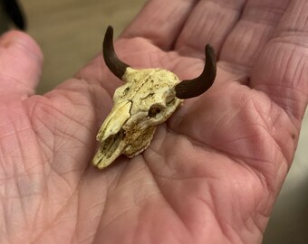 Featured image of post Miniature Stag Skull - Path up starts at 68.5 68.8 spot;