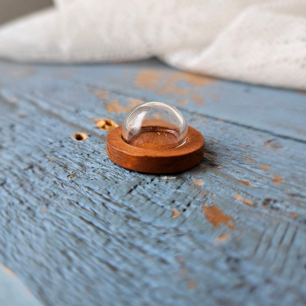 Small glass dome on wood. Miniatures Dollhouse box for Oddities Cabinet of curiosities