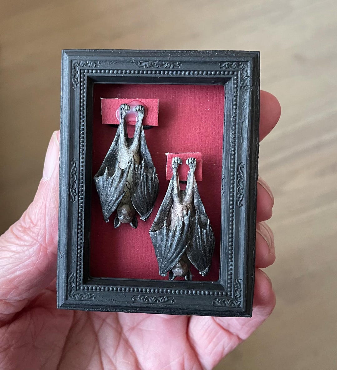 Bat in Frame Miniature Collection Museum Oddities Curiosities Framed ...