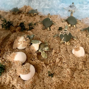 Miniatur grüne Wasserschildkröte schlüpft aus Ei für Miniaturhandwerk, Puppenhaus, Diorama, Bücherecke - 3 Stück -