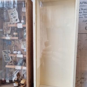 May include: Two wooden display boxes. One is open, the other is a miniature cabinet with shelves holding small curiosities like shells, bottles, and a skull. The open box is empty. The background includes vintage paper.