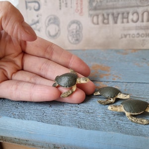 Miniature green water turtle sea turtle for Miniature crafts, Dollhouse, Micro, diorama, book nook - 3 pieces