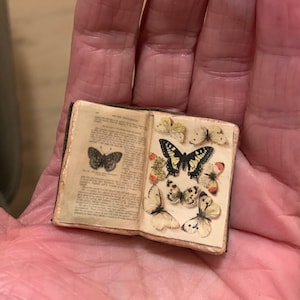 1 Miniatur offenes Buch für Puppenhaus, Schmetterlings-Buch, Hexenhaus, Halloween, schreibend - gothic morbid
