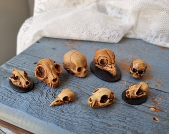 Aged Resin Animal Skulls: Gothic Halloween Miniatures