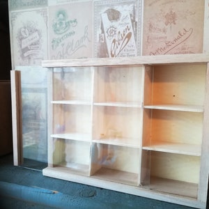Scatola espositiva in legno - 9 scomparti. Con coperchio scorrevole in vetro - Miniature Dollhouse Shadowbox Oddities - per Mini Cabinet of Curiosities