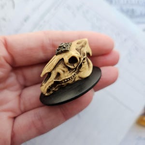 Pferdeschädel auf schwarzem Hintergrund - Puppenhaus Miniaturen Gothic Schädel Miniatur Gothic Goth Gruselige Halloween Miniatur