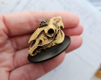 Miniatura de casa de muñecas con calavera de caballo gótica: decoración de Halloween espeluznante