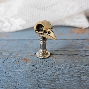 Bird Skull on Gold Pedestal Dollhouse Miniatures Gothic Skull Miniature approx 3cm Gothic Goth Spooky Halloween Miniature