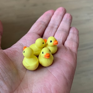 Miniature duck