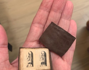 Miniature Dollhouse Anatomy Book, Gothic Halloween Decor