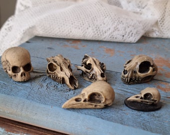 Miniature Skull Set: Human, Cat, Wolf, Bird, Bat, Owl - Gothic Halloween Oddities