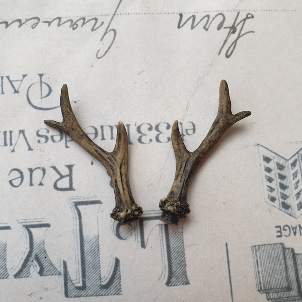 Miniature Deer Antlers - Miniature Antler for Dollhouse museum collection or cabinet of curiosities - 1 set of left and right antler - Black