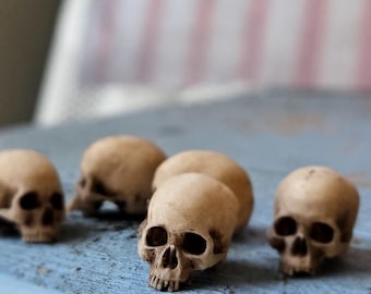 1 piece of 1:24 Hand-Painted Resin Human Skull - Gothic Dollhouse Miniature (10x15mm)