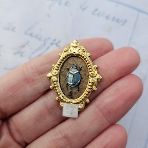Puede incluir: Un broche ovalado con un marco dorado ornamentado con detalles de volutas. Dentro del marco hay un fondo marrón oscuro con una pequeña ilustración de un escarabajo azul y plateado iridiscente. Una pequeña etiqueta cuadrada blanca está unida en la parte inferior.