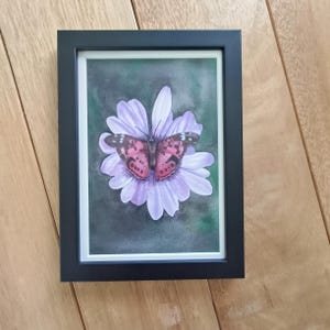 Schmetterlings-Aquarellmalerei, ursprüngliche Aquarellkunst, ursprüngliches Aquarell, botanische Kunst, Schmetterlingskunst, Aquarell Schmetterling, Blumenkunst