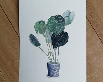 Plant watercolor painting, original watercolor art, original aquarel, botanical art, houseplant, botanical illustration