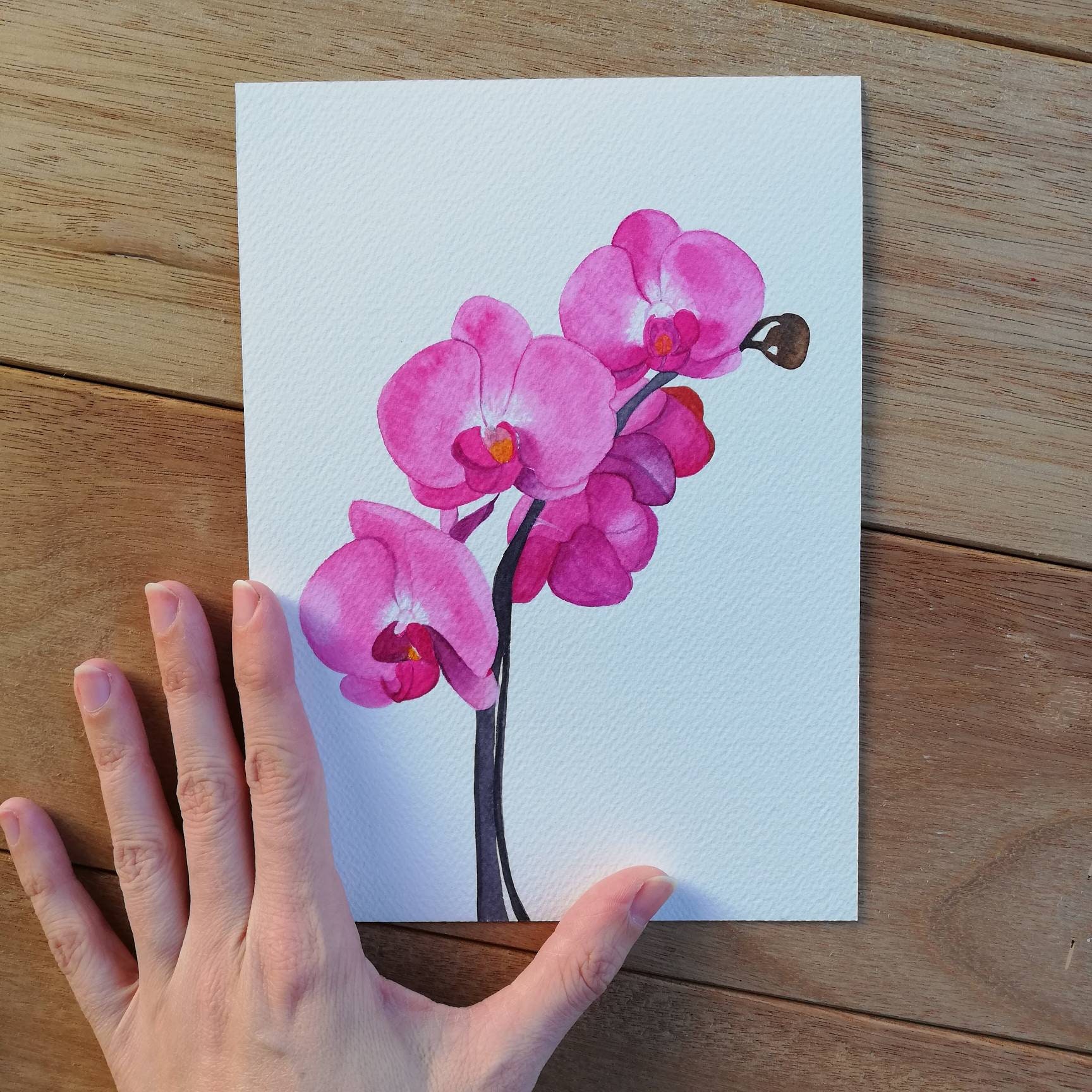 赤い蘭の花 水彩画 レランセナ 赤い蘭の花 水彩画 レランセナ 【公式通販】