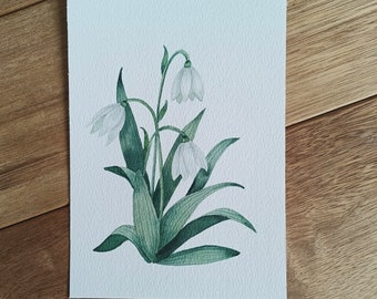 Aquarelle perce-neige, aquarelle originale, aquarelle originale, art botanique, fleur blanche, illustration botanique, perce-neige