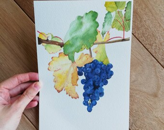 オリジナルの水彩画「ブドウの木のブドウ」9