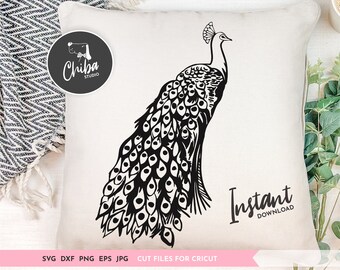 Download Peacock Sayings Svg Etsy