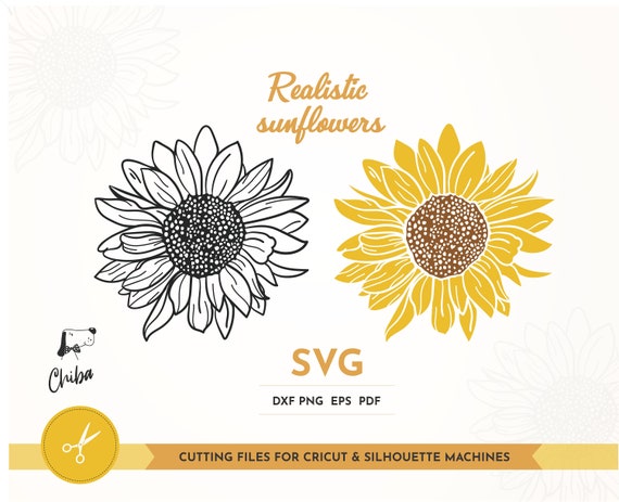 Free Free 212 Realistic Clipart Sunflower Svg SVG PNG EPS DXF File