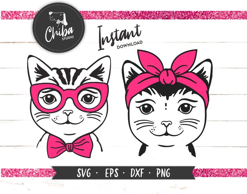 Download Cute Cat Face Svg mini bundle Hipster Cat in Glasses Svg ...