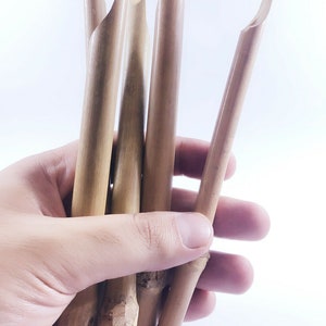 Set di 5 penne di bambù Qalam per calligrafia araba classica fatta a mano
