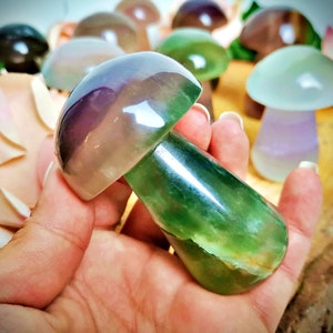 Champignons de Fluorite XXL | Flourite Mushroom Decor | Unique Natural Crystal Art | Home Decor & Gifts for Crystal Lovers