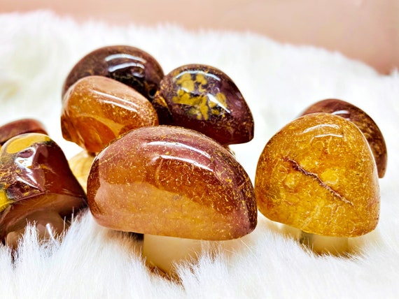 Champignons en Cornaline Naturelle du Brésil taille XXL