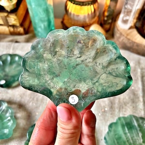 Könnte beinhalten: Vier grüne Fluorit-Kristallschalen in Muschelform. Die größte Schale wird in einer Hand gehalten. Die Schale hat die Nummer "3" darauf geschrieben.