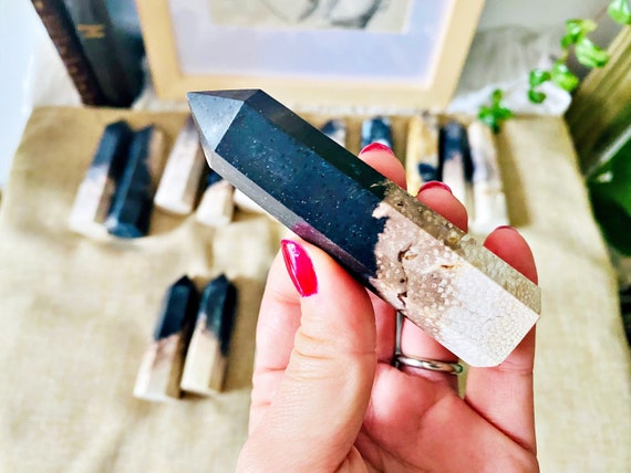 Fossilized Palm Root from Madagascar | Unique Natural Stone Gemstone | Earthy Decor
