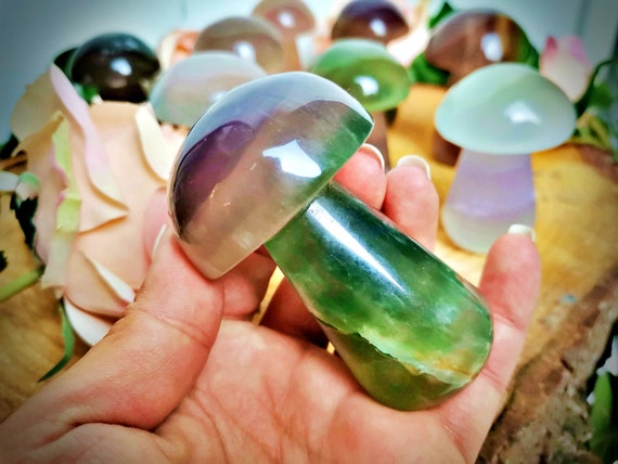 Champignons de Fluorite XXL | Flourite Mushroom Decor | Unique Natural Crystal Art | Home Decor & Gifts for Crystal Lovers