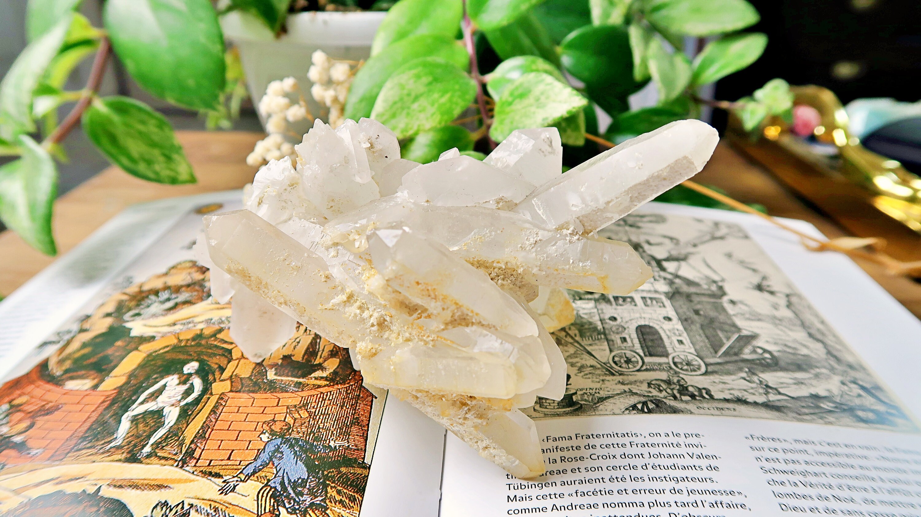 Roche de Cristal Roche 257G