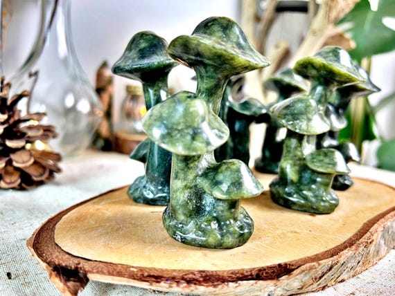 Champignons en Serpentine