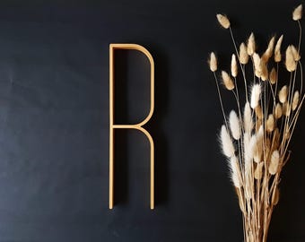 May include: A gold-colored letter R with a clean, sans-serif font style. The letter is positioned to the left of a cluster of dried, fluffy, beige-colored bunny tail grass stems, all set against a solid, dark, matte black background.