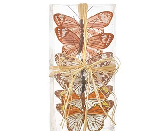 Box of 4 Inch Butterflies | Box of Butterflies