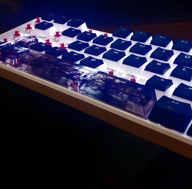 May include: A white mechanical keyboard with blue keycaps and a custom resin keycap. The keyboard has a white frame and a blue and white resin keycap.