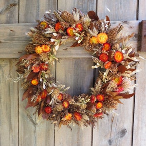 AUTUMN WREATH Burgundy/Pink Everlasting Daisy Floral Wreath EVERLASTING All Natural Dried Flower Eco Friendly Biodegradable image 1