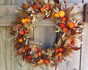 AUTUMN WREATH Burgundy/Pink Everlasting Daisy Floral Wreath | EVERLASTING All Natural | Dried Flower | Eco Friendly | Biodegradable