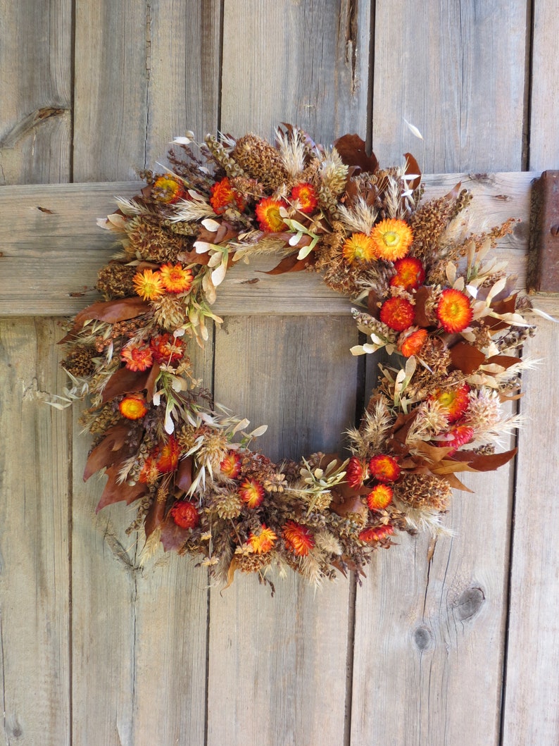 AUTUMN WREATH Burgundy/Pink Everlasting Daisy Floral Wreath EVERLASTING All Natural Dried Flower Eco Friendly Biodegradable image 1