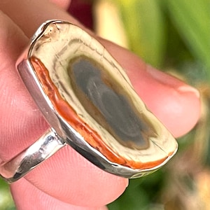 Royal, Imperial, Jasper, Ring, Size 9.5, In Sterling Silver