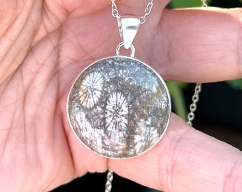 Fossil, Koralle, Anhänger, Halskette In Sterling Silber