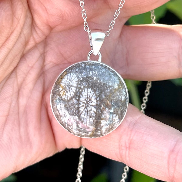 Fossil, Coral, Pendant, Necklace In Sterling Silver