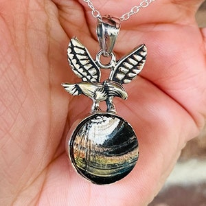Shungite, Pendant, Necklace, In Sterling Silver