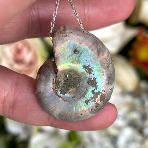 Ammonite, Pendant, Necklace, In Sterling Silver, Ammonite Fossil Gemstone Necklace
