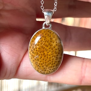 Petrified, Palm, Wood, Pendant, Necklace, In Sterling Silver