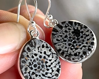 Black, Fossil, Coral, Drop, Earrings, In Sterling Silver