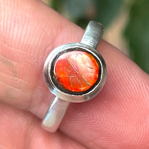 Ammolite, Ring, Size 7, In, 925 Sterling Silver