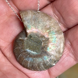 Ammonite, Pendant, Necklace, In Sterling Silver, Ammonite Fossil Gemstone Necklace
